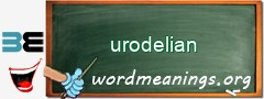 WordMeaning blackboard for urodelian